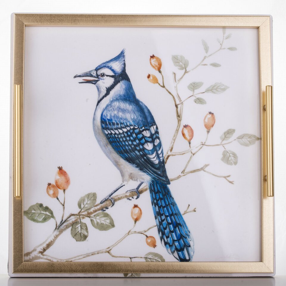 Padėklas ,,BLUEBIRD''